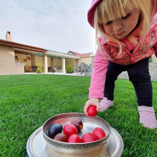 93838216_2564491987132588_1980247199270830080_n